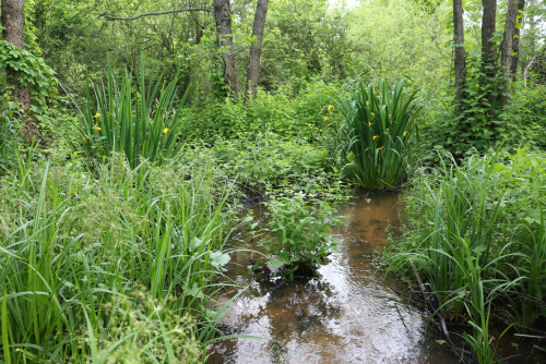 «Заказник»