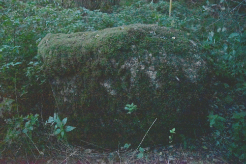 Cybulsky Kamen Zaozersky boulder