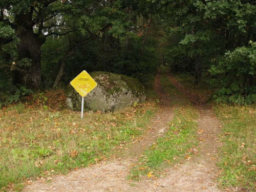 Malinovshchinsky stone