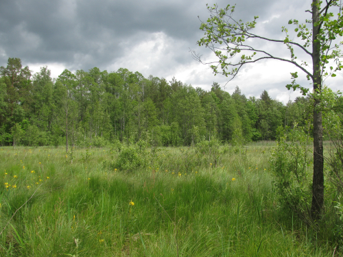 Yaruta nature reserve