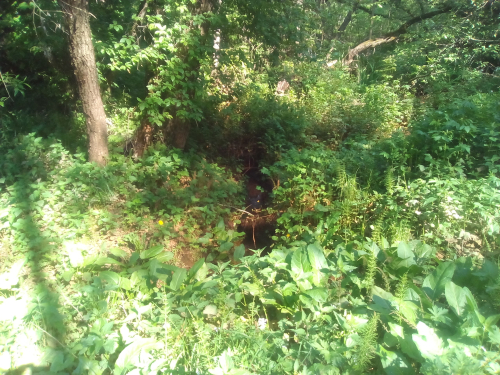 Памятник природы «Стайки»