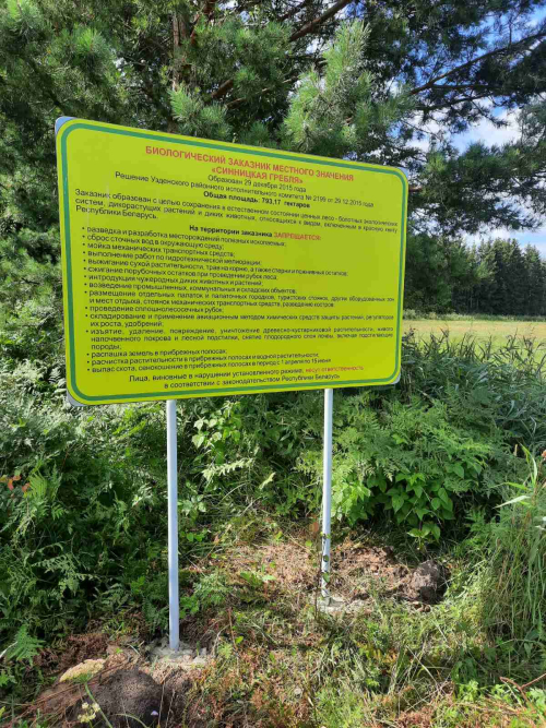 Заказник «Синицкая гребля»