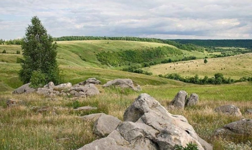 Reserve Volchja Gora