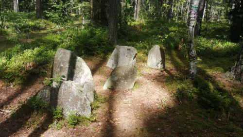 Валуны «Каменные волы» стеберякские