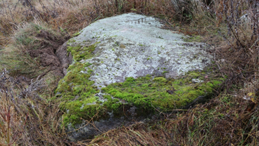 Валун «Мартин камень» лайбунский