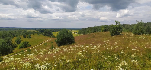 Амилина гора