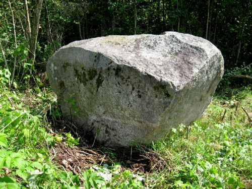 Poljanovsky boulder