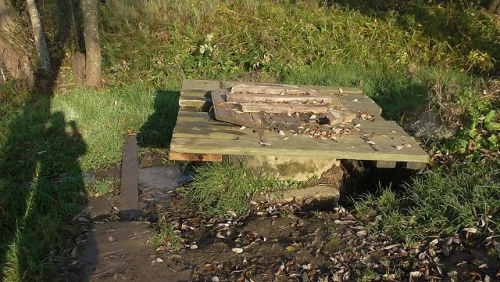 Родник Чапских