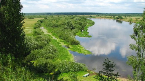 Луковая гора