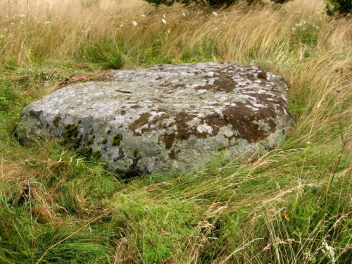 Gudovshchinsky boulder-2