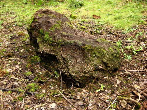 Bolshoj Kamen Pitemsky boulder