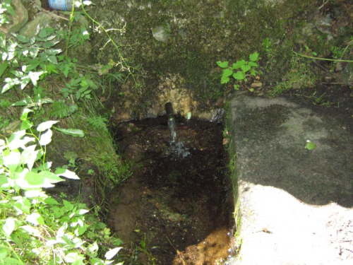 Криница на реке Несета