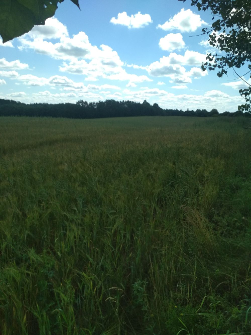 Kushlevskaya water-gap
