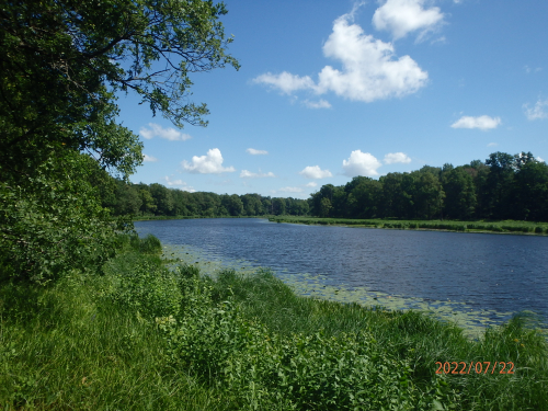 Заказник «Смычок»