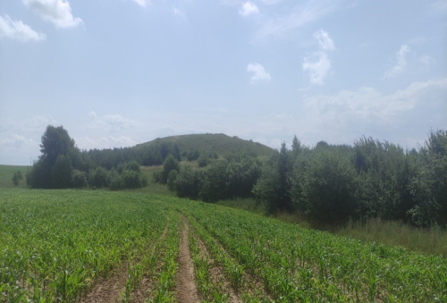 Городище Валькевичское