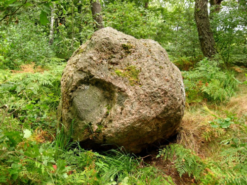 Chertov Kamen Hmelevsky boulder