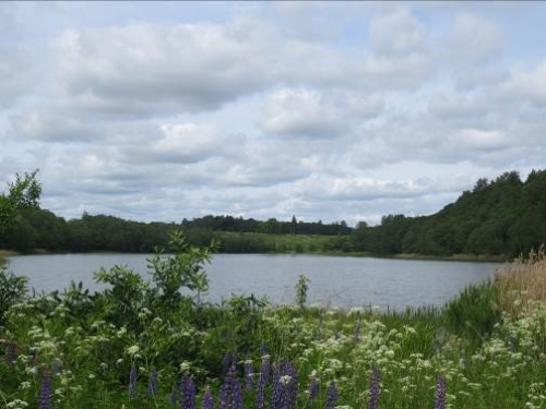 Rosickaya lowland area