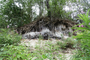 Обнажение «Мурова»