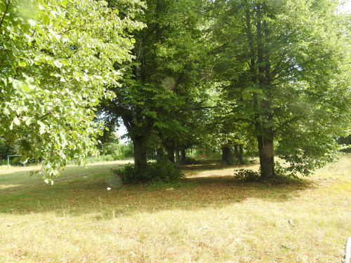 Nizhne-Terebezhovsky park