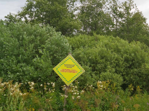 Заказник «Копыш»