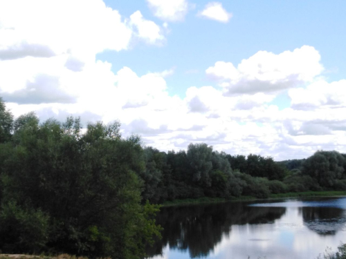 Заказник «Старица»