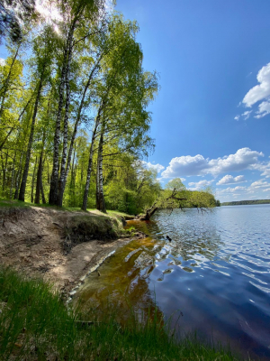 Заказник «Селява»