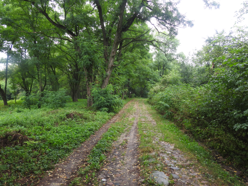 Old park in the village of Gremjacha