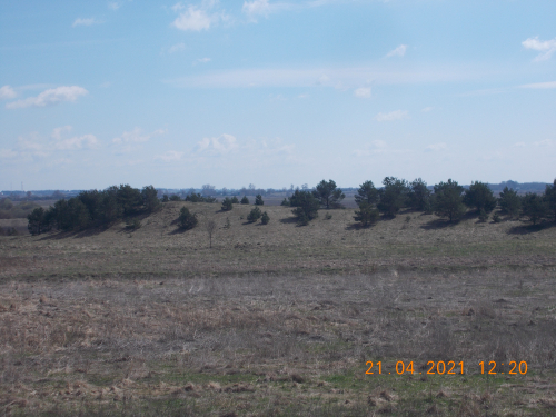 Казинская гора