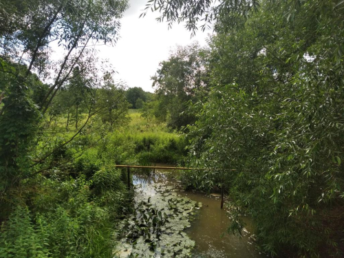 Заказник «Малевский»