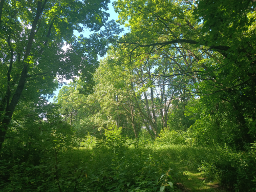 Парк «Шипяны»