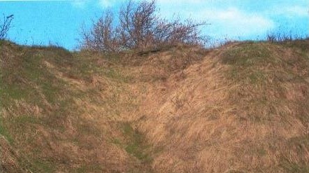 Обнажение «Новый Крупец»