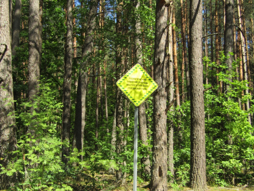 Пущанская гора