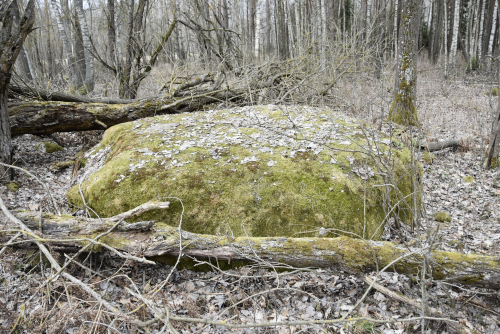Bertovshchinsky Bolshoj Kamen boulder