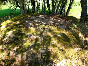 Валун «Чертов камень» шкленниковский