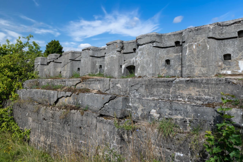 Grodno forts