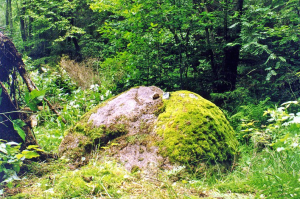 Dyrjavyj Kamen Kaptarunsky boulder