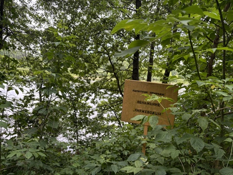 Обнажение «Княжеводцы»