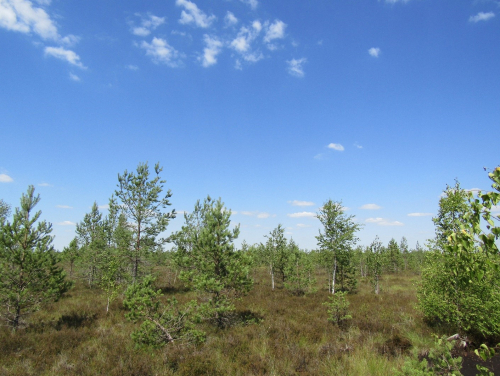 Докудовский