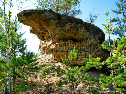 Sutkovskie conglomerate blocks