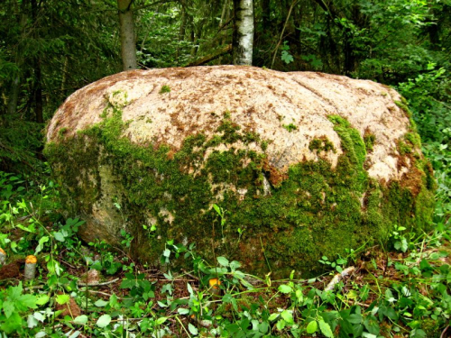Mochilovsky boulder -1