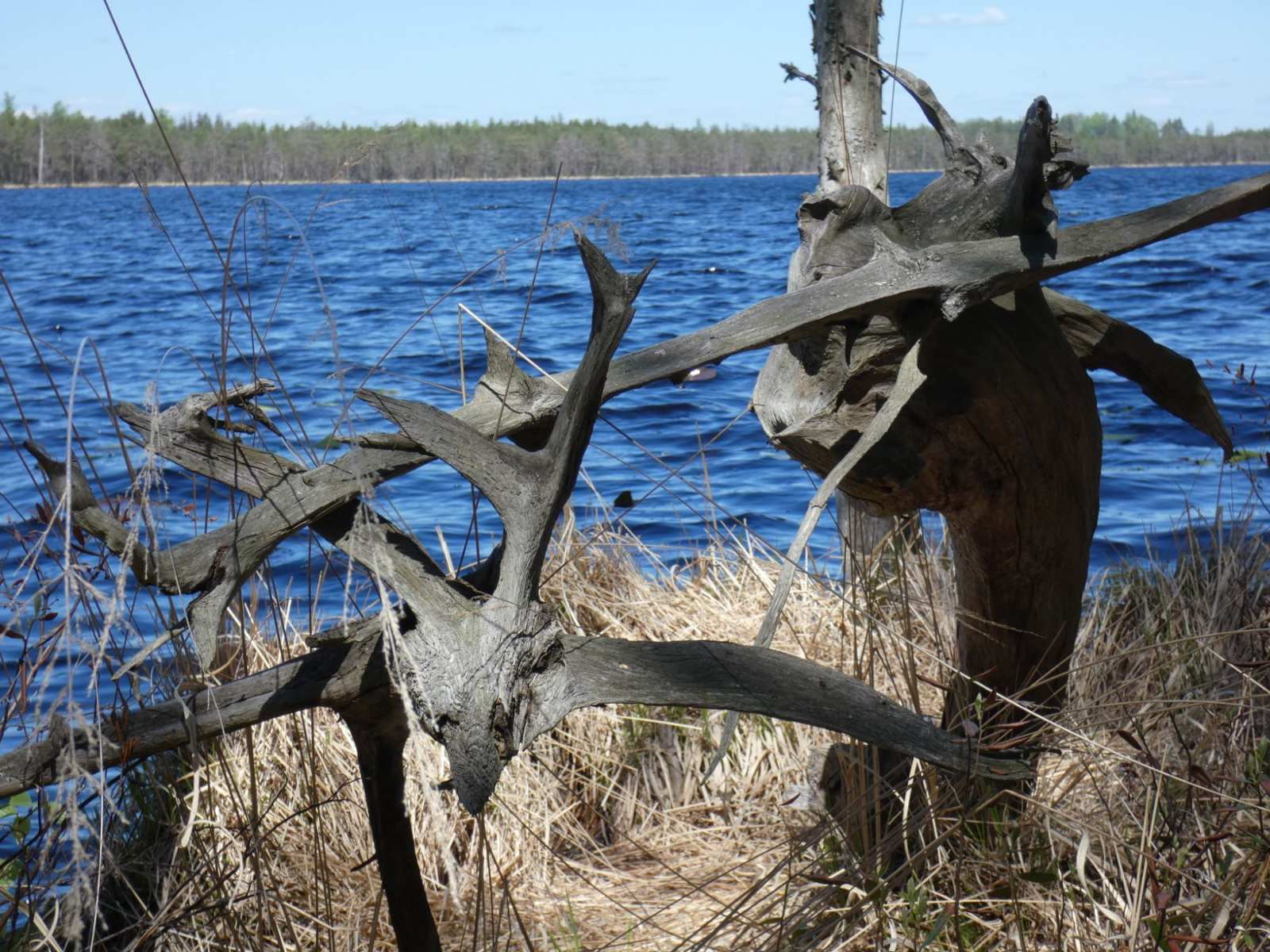 Kozjansky Nature Reserve