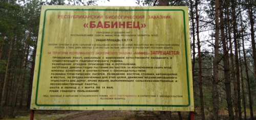 Заказник «Бабинец»