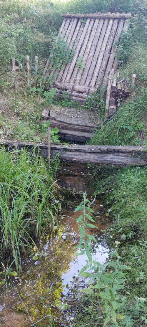 Родник в д. Старый Сокол