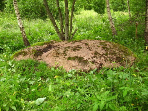 Gologursky Bolshoj Kamen boulder