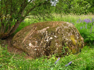 Валун «Большой камень» навиновский