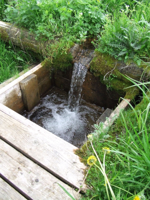 Shcherbishskie springs
