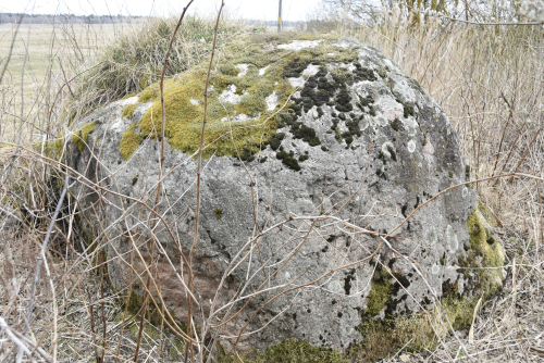 Janopolsky Bolshoj Kamen boulder