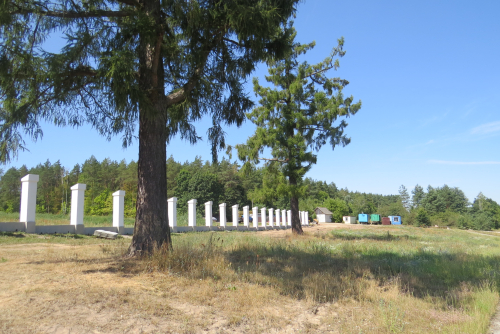 Puslovskykh larch-trees