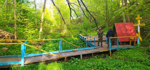 Заказник «Костел»