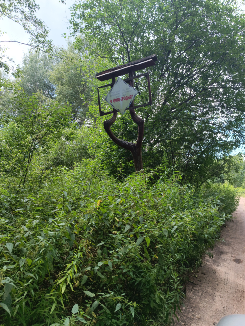 Заказник «Гайно-Бродня»